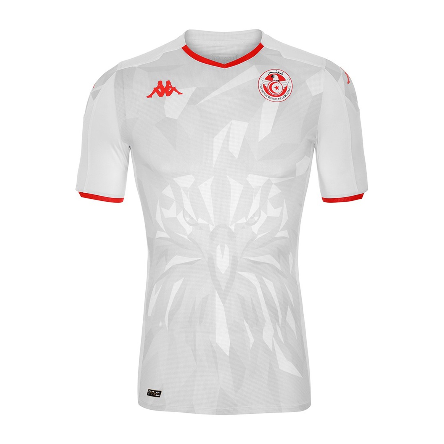 maillot de foot tunisie puma